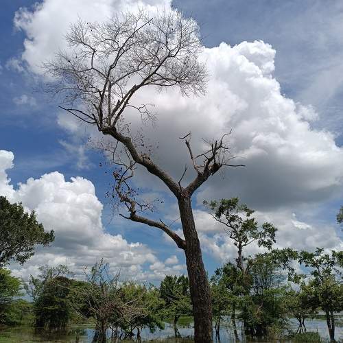 Photo #10609499