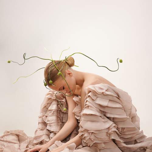 Photo #10609571