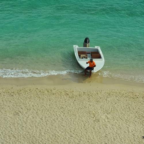 Photo #10610064