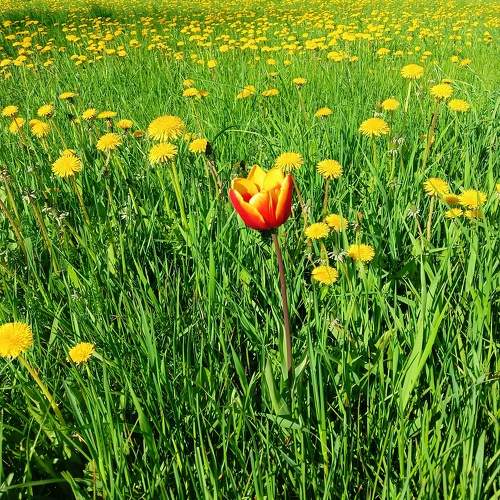 Photo #10610106