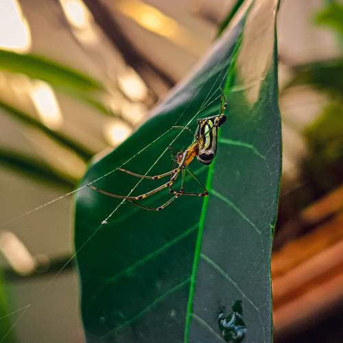 Photo #10610723