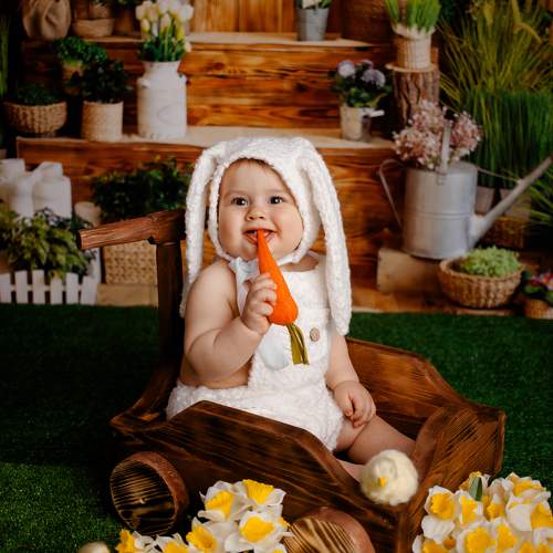 Фотография #10610741