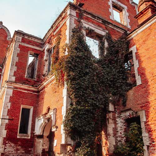 Photo #10610792
