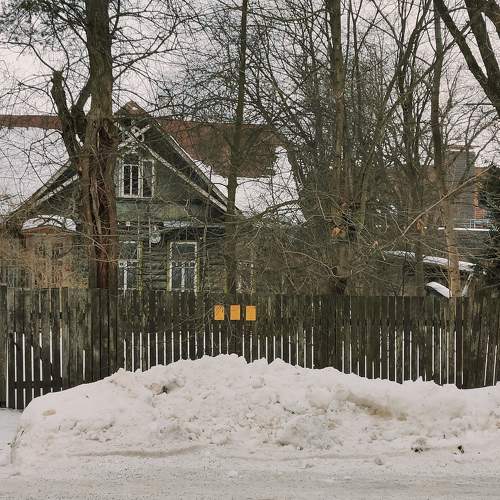 Photo #10611069