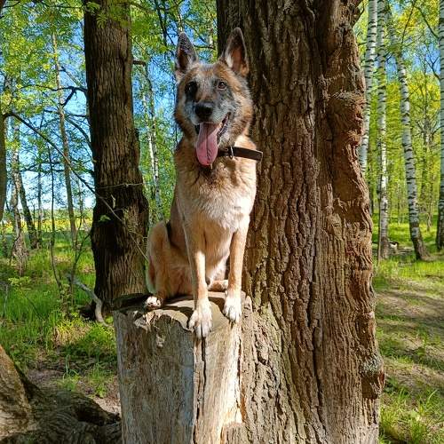 Photo #10611165