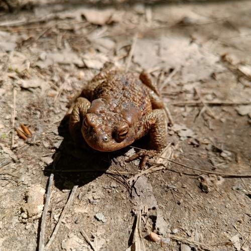 Photo #10611175