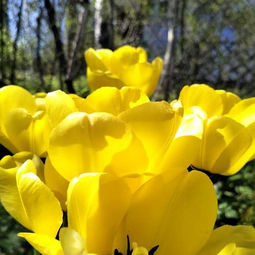 Photo #10611497