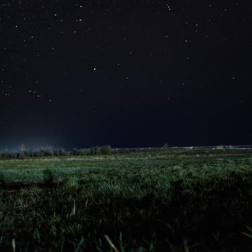 Photo #10611620