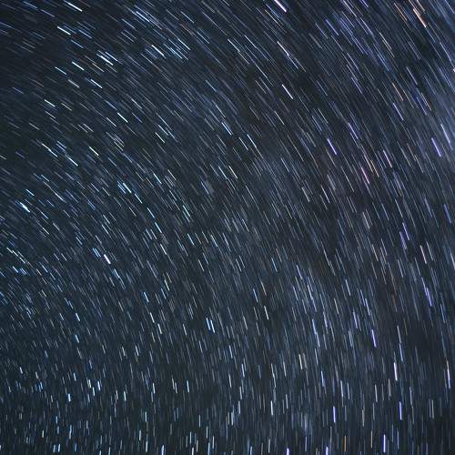 Photo #10611631