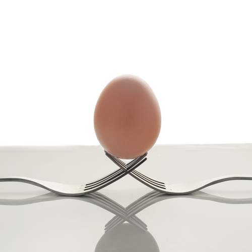 Фотография #10611689