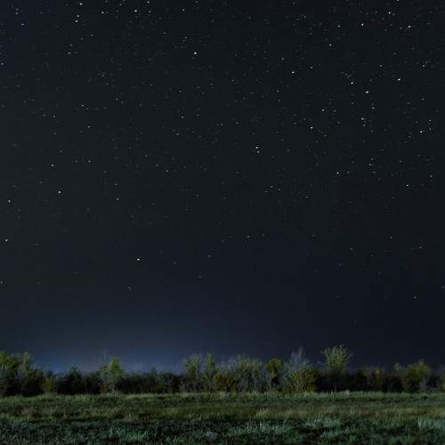 Photo #10611738