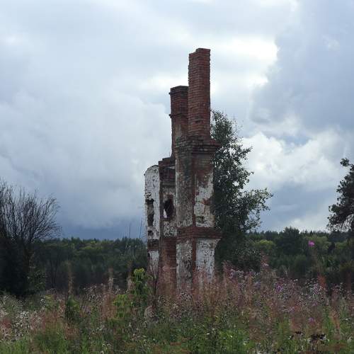 Photo #10612108
