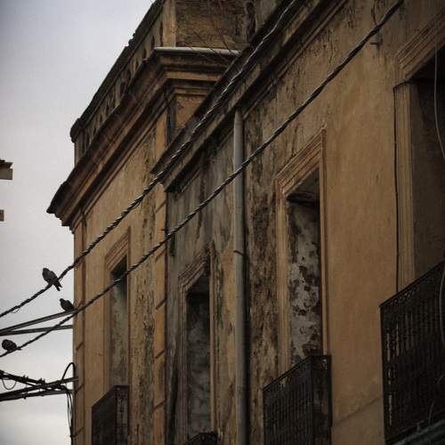 Photo #10612116