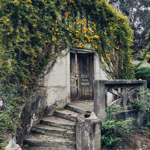 Photo #10612272