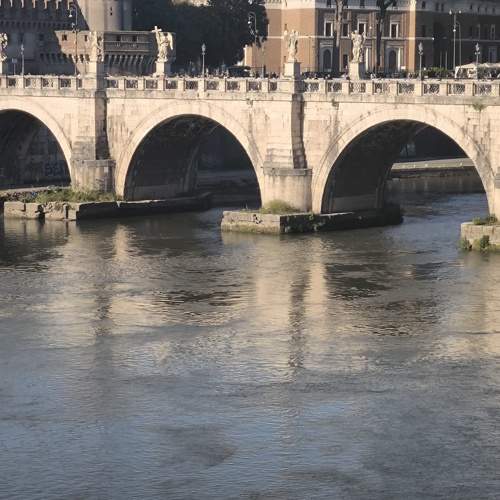 Photo #10612760