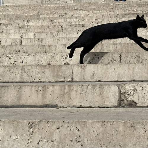 Photo #10613035