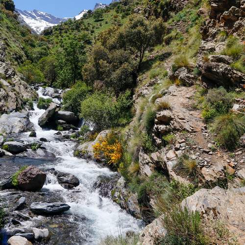 Vereda De La Estrella
