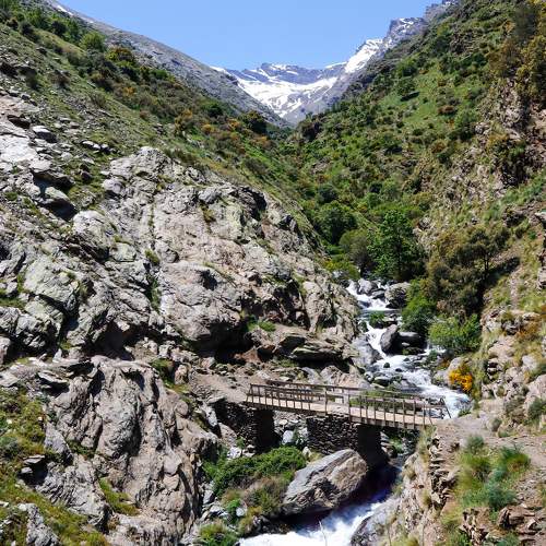 Photo #10613590
