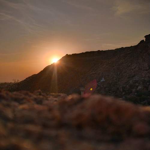 Photo #10613892