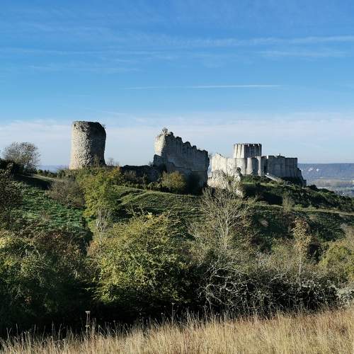 Photo #10613997