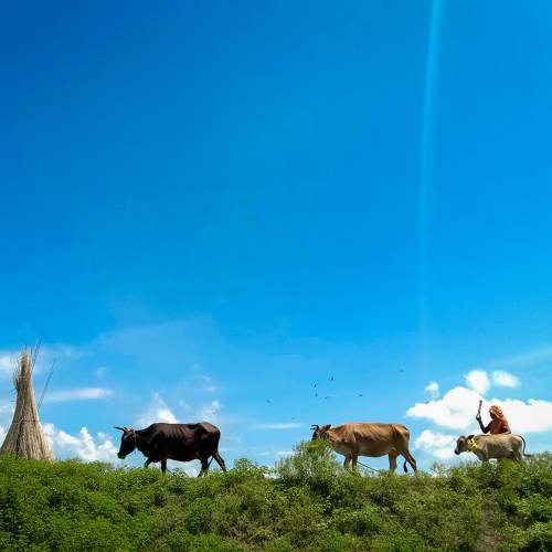 Photo #10614065