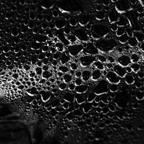 Photo #10614264