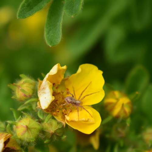 Photo #10614367
