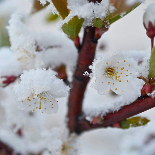 Photo #10614611