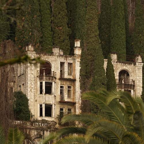 Photo #10615058