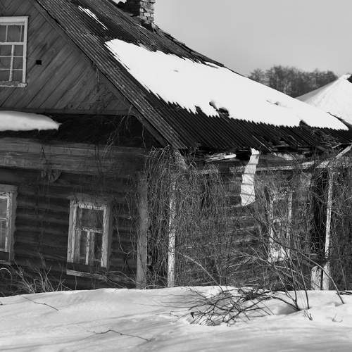 Photo #10615218