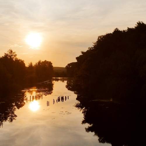 Photo #10615416