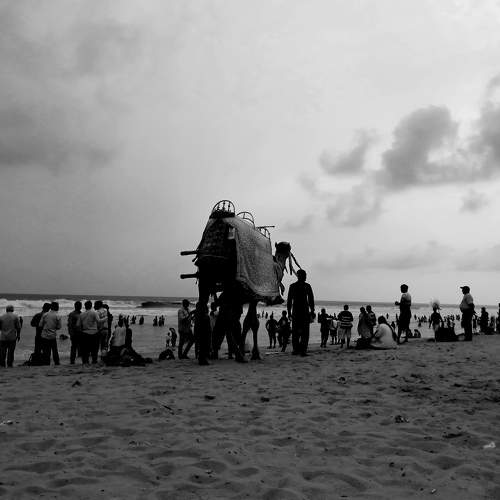 Photo #10615479