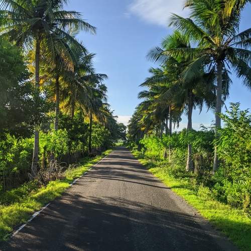 Photo #10616402