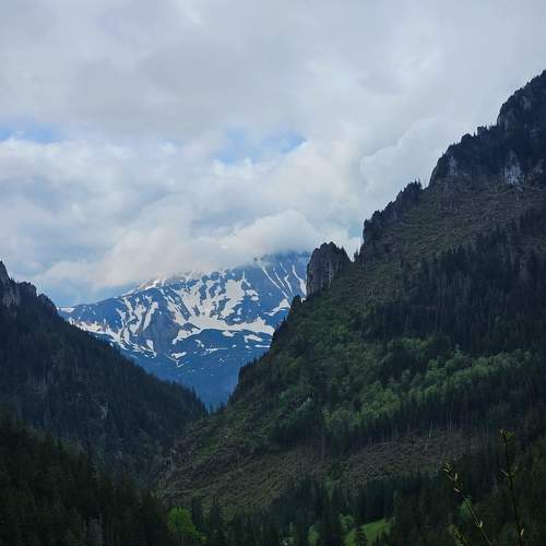 Photo #10616786