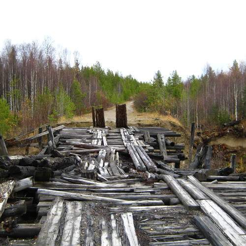 Photo #10617453