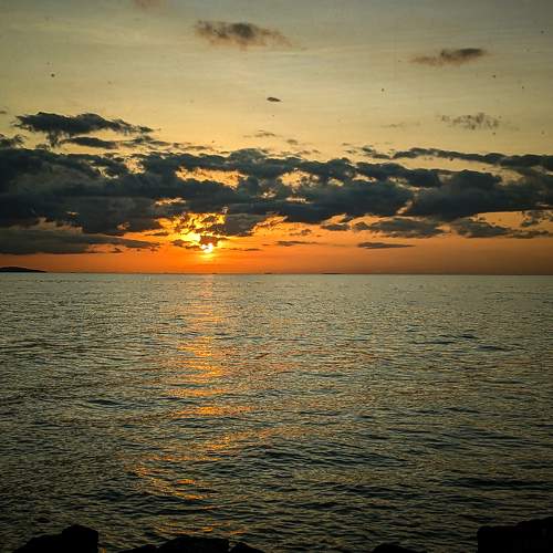 Photo #10617639