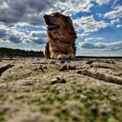 Photo #10617873