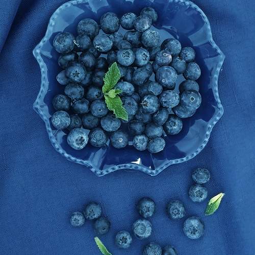 Photo #10617891