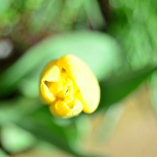 Photo #10617894