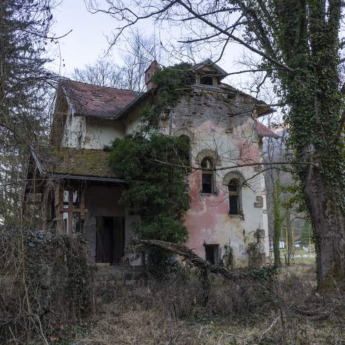 Photo #10617922