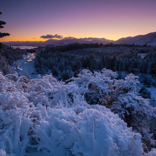 Photo #10618168