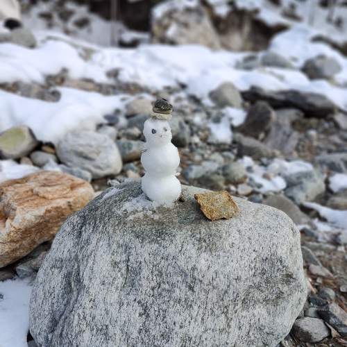 Photo #10618558