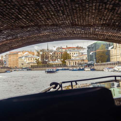 Photo #10618700