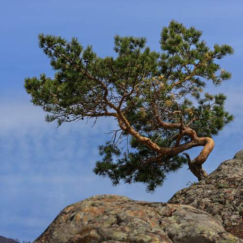 Photo #10618906