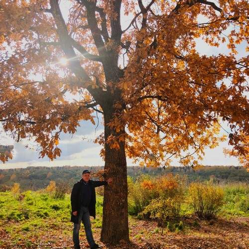 Photo #10619381