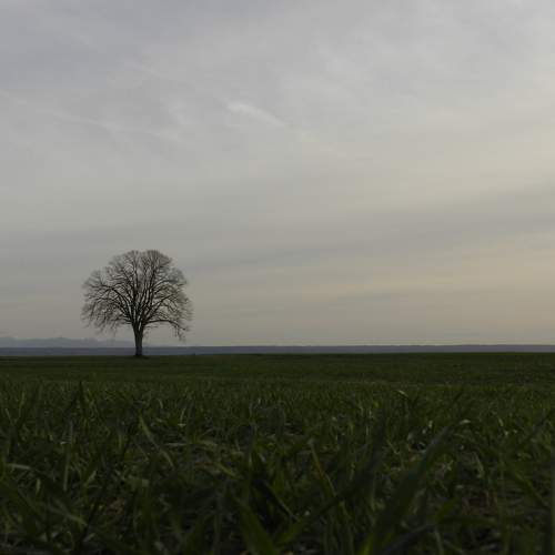 Photo #10619464