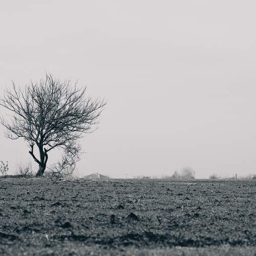 Photo #10619843