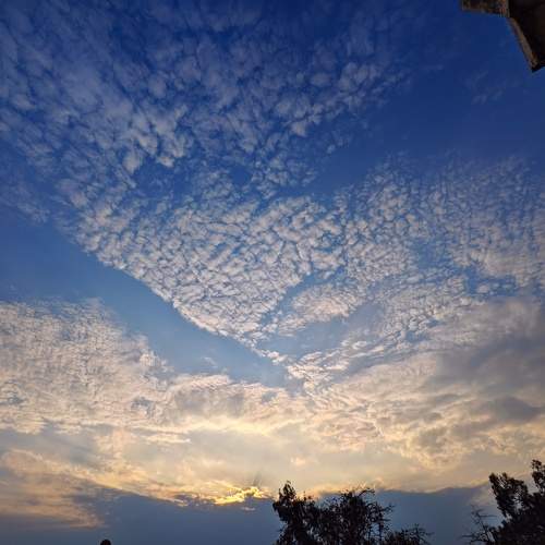 Photo #10620092