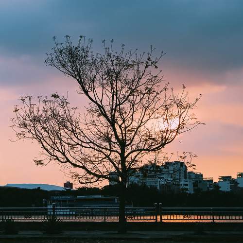 Photo #10620161