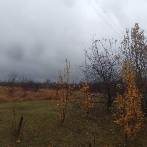 Photo #10620529
